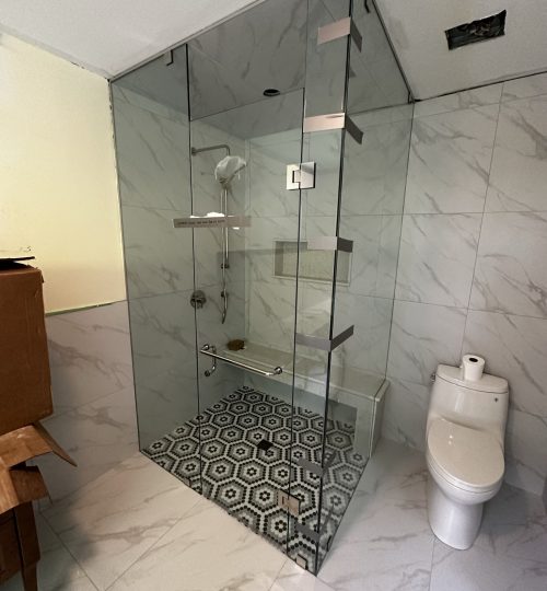 Curbless Shower with Custom Glass