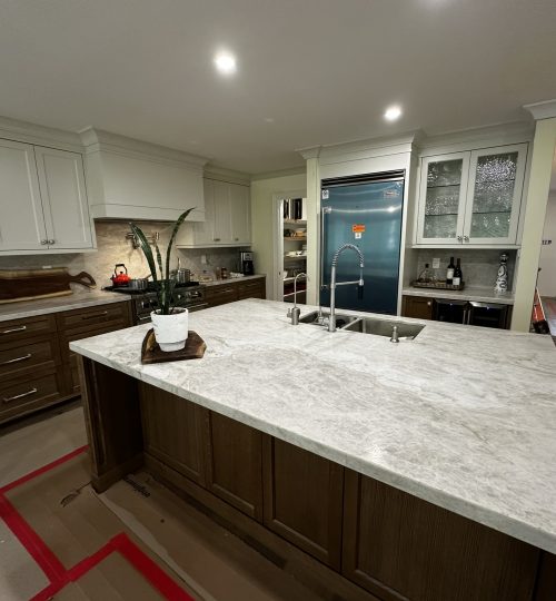 Leathered Island Top