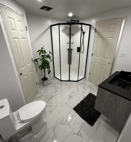 Basement Bathroom Reno