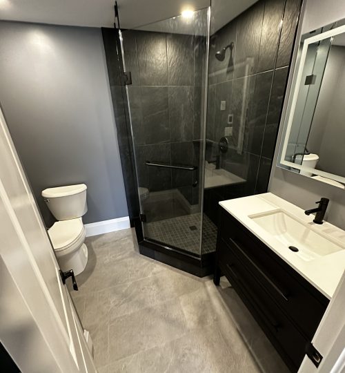 Basement Bathroom
