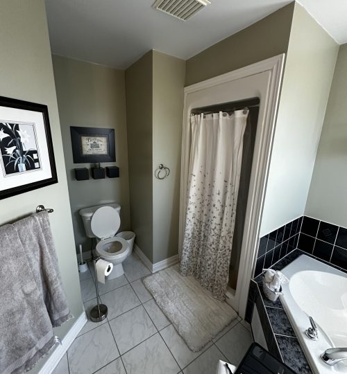 Primary Bathroom - Before